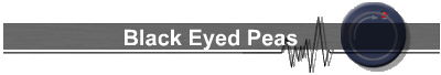 Black Eyed Peas
